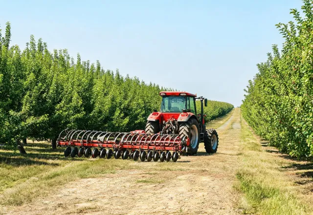 Orchard interrow access